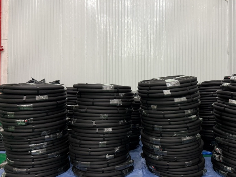 crop_1756358826668